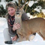 Birgit Albert - Rehkitz Aufzuchtstation Peißenberg