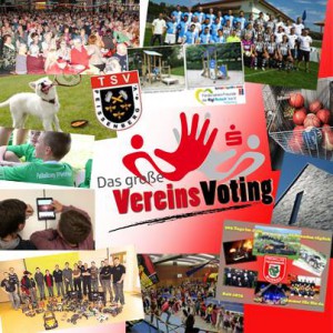 Vereinsvoting_Sparkasse_Facebook_2016