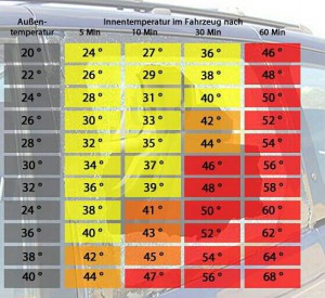 Temperaturen_Innenraum_Tier_im_Auto