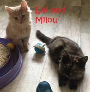 2016_17_10_Lui und Milou