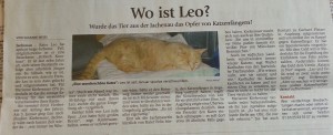 2017Suchanzeige_Leo_Zeitung