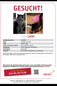 2018-5-Suchmeldung Kater Lucky