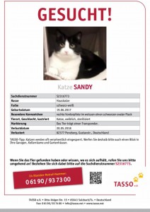 2018-5- Suchmeldung Katze Sandy