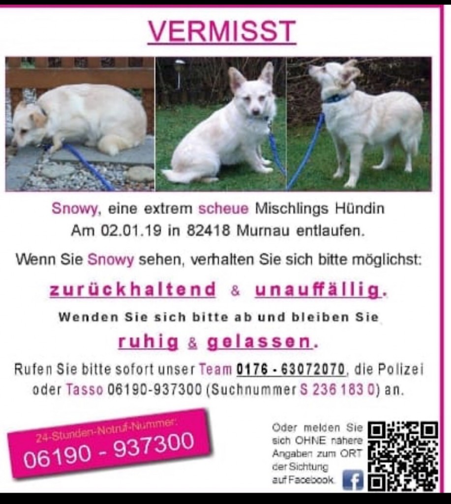 2019-1 vermisster weißer hund murnau
