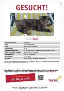 TASSO_Suchplakat_Katze Nila-S2391552