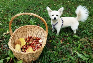 IMG_20191003_175959_406