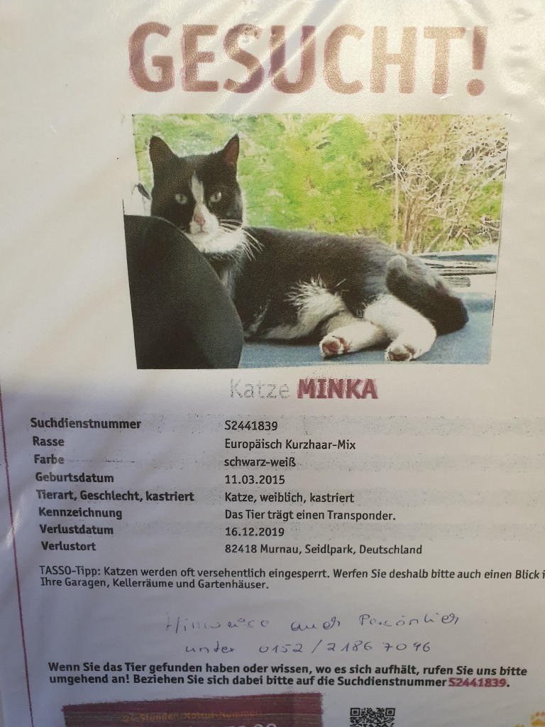 Katze Minka gesucht Murnau
