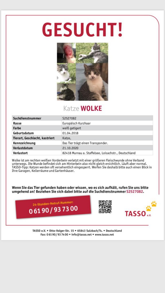 2020-10- Suchplakat Katze Wolke Murnau