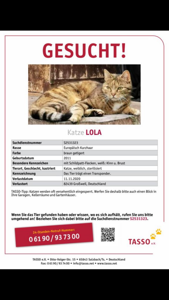 2020-11-Suchplakat Lola