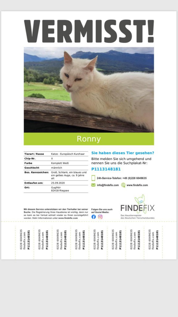 2020-11 Suchplakat Ronny