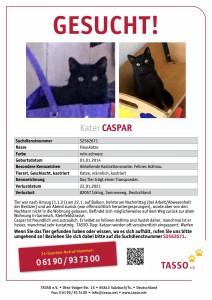 2021-1TASSO_Suchplakat Kater Caspar Iking_S2562671