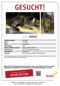 2021-2-Kater Bonzo TASSO_Suchplakat_S2566654