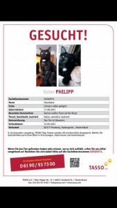 2021-5-Kater Phillip vermisst