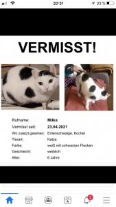 21-5-vermisste Katze Milka