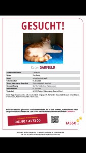 21-7-kater garfild vermisst