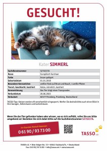 2022-7-Kater Simmerl gesucht