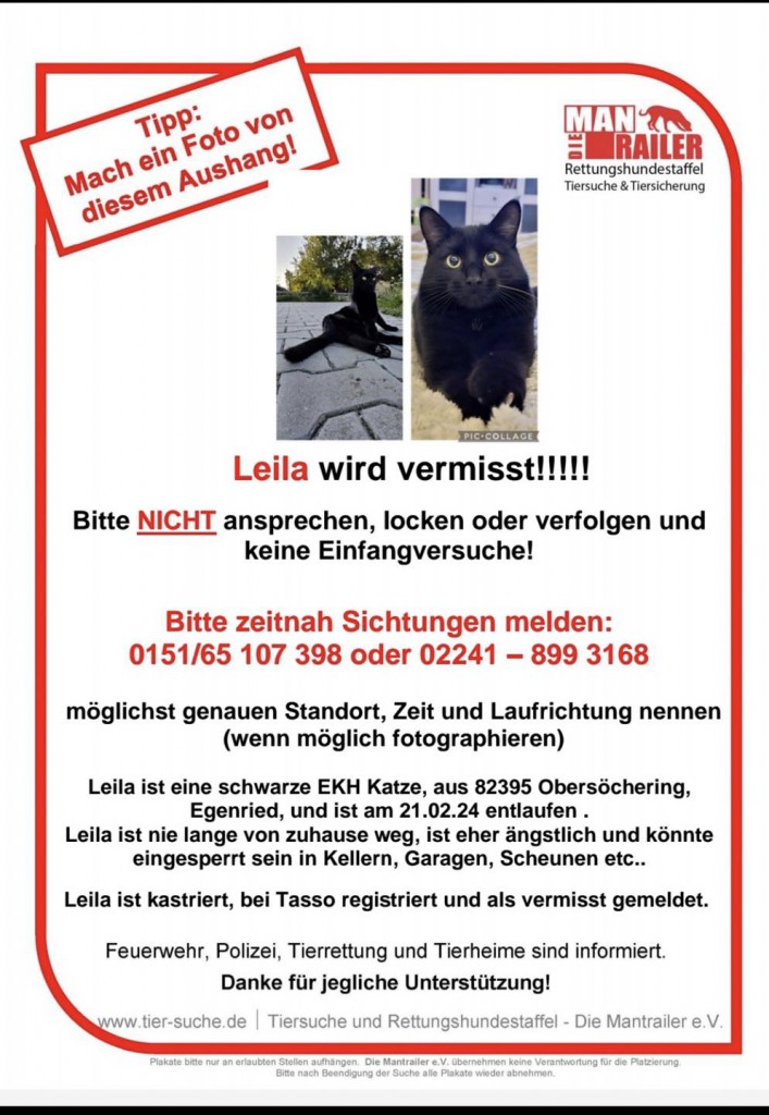 2024-03 vermisste Katze Leila Obersöchering