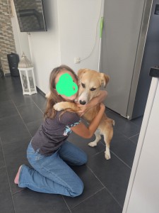 2024-7-Hund Milo2