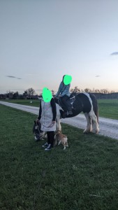 2024-7-Hund Milo6jpg