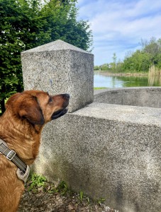IMG_7844