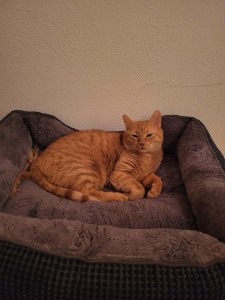 f76210bb-92da-4580-9940-dc15047ea508