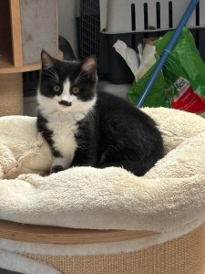 6fc466d0-d6fb-474d-bc8a-4add2c9ab4e0