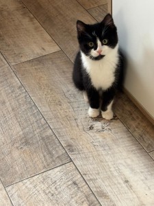 bce3cb73-944e-4798-a4dc-13dbbb643ec6