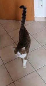 6114237f-57c5-407e-a097-ab1f2de63dca