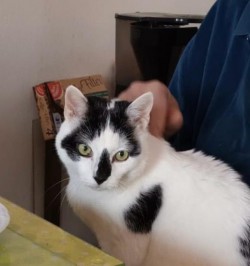 0a55a8e4-a744-4d58-ba8e-33799661c1da