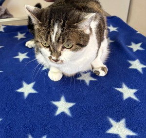 0f2452b8-0081-499c-a14f-fa4f02305aba