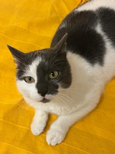 194c3c3b-facb-429d-ad57-918cb09944c9