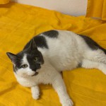 32c63f98-58fe-4dca-9d7c-3f176829fa54