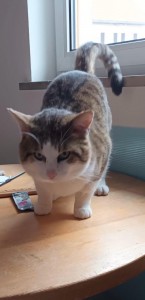 570f92ea-fbe8-49ea-8df1-58c6dc821f6f