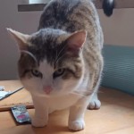 570f92ea-fbe8-49ea-8df1-58c6dc821f6f