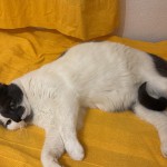 97792808-8612-41f0-96ea-5c72a25458b6