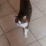 b0a99f76-b4d7-4af6-aec9-ab4b5c9bd5f7