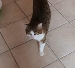 b0a99f76-b4d7-4af6-aec9-ab4b5c9bd5f7