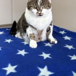 dc5932ab-bbcf-4022-99aa-acb3edb4314e