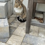 248531dc-5a9c-4de0-b926-bf2309974462