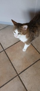 67040a2e-d7e5-4463-88a0-393b35f70235