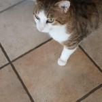 67040a2e-d7e5-4463-88a0-393b35f70235