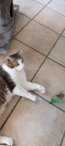 6715eb19-1c00-4d0f-ae71-9a76a3a5e6cc