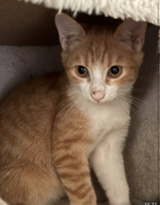 IMG_5164